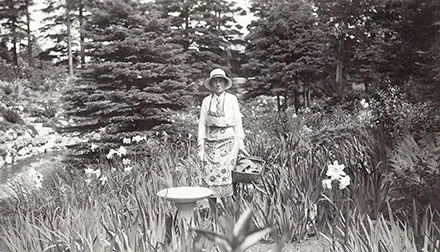 Sur cette photographie en noir et blanc, Elsie porte un tablier de jardinage. Elle prend la pose dans le Jardin du ruisseau, entourée de lis. Debout près d’un bain pour oiseaux, elle tient un panier dans la main gauche. Au fond, quelques épinettes bordent le ruisseau Page. On peut facilement imaginer les lis qui parfument l’air et l’eau qui coule tranquillement.