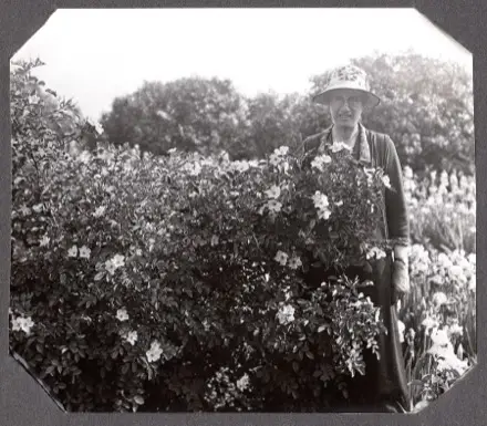 Sur cette photo en noir et blanc, Isabella Preston porte un chapeau et elle esquisse un sourire. Elle prend la pose près d’un rosier et les roses sont en fleur. 