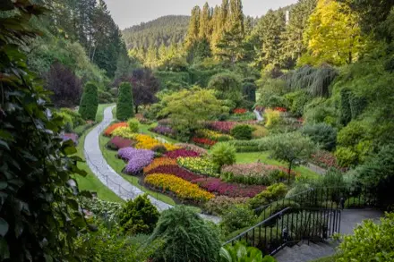Sur cette photographie couleur, le Jardin encaissé se démarque par son dénivelé et un sentier de gravier qui le traverse. Plusieurs buissons et arbustes parsèment ce jardin où les couleurs orangées et vertes se distinguent. Les fleurs y ajoutent de beaux tons de rouge, d’orange et de violet.