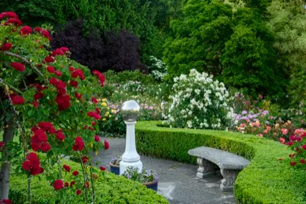 Sur cette photographie couleur, un sentier de pierre serpente dans le jardin de roses. Une sculpture sphérique argent occupe le centre. Un banc en pierre se trouve en face de cette installation et une haie verte délimite le sentier. Des rosiers aux couleurs variées sont bien garnis. Au fond, il y a des arbres feuillus.