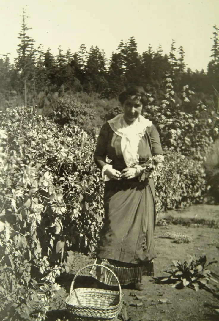 Jennie Butchart se trouve au centre de cette photographie en noir et blanc. Elle fixe un panier de jardinage à ses pieds. À sa droite, il y a des fleurs. Une rangée de conifères orne l’arrière-plan.
