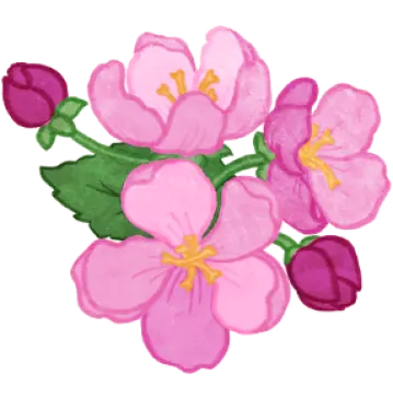 Dessin d'une fleur de pommetier