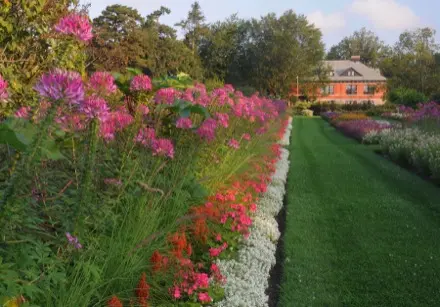 Au fond à droite, le bâtiment de briques rouges est entouré d’arbres feuillus. Un sentier gazonné rectiligne, bordé de deux platebandes de fleurs colorées, occupe le premier plan. Sur la platebande de gauche, le blanc et le mauve des fleurs dominent; sur celle de droite, le rose s’ajoute à ces couleurs.