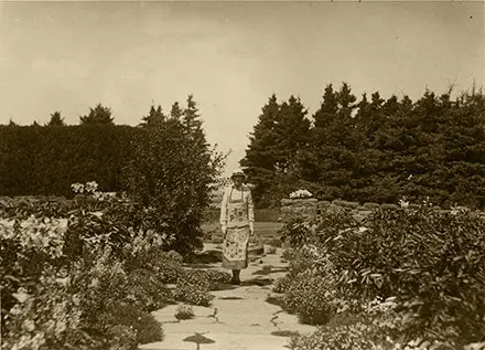 Sur cette photographie d’archives en noir et blanc, Elsie pose au centre de l’Allée royale. Elle tient un panier de jardinage dans la main gauche. Derrière elle, la rangée d’épinettes s’ouvre et laisse voir le fleuve Saint-Laurent. Cette ouverture se situe dans l’alignement du sentier de grandes pierres de l’Allée royale. Sur les deux côtés du sentier, les lis blancs sont en fleur et dominent le jardin.
