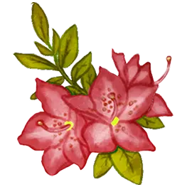 Dessin d'une azalée